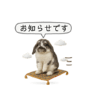 うさンプ:mochi（敬語）1（個別スタンプ：8）