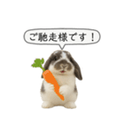 うさンプ:mochi（敬語）1（個別スタンプ：9）