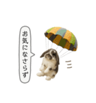 うさンプ:mochi（敬語）1（個別スタンプ：11）