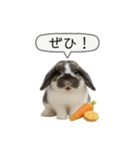 うさンプ:mochi（敬語）1（個別スタンプ：12）