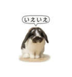 うさンプ:mochi（敬語）1（個別スタンプ：13）