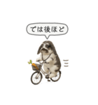 うさンプ:mochi（敬語）1（個別スタンプ：14）