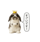 うさンプ:mochi（敬語）1（個別スタンプ：18）