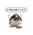 うさンプ:mochi（敬語）1（個別スタンプ：19）