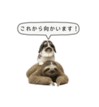 うさンプ:mochi（敬語）1（個別スタンプ：22）