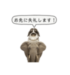 うさンプ:mochi（敬語）1（個別スタンプ：23）