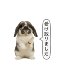 うさンプ:mochi（敬語）1（個別スタンプ：28）