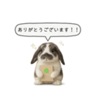 うさンプ:mochi（敬語）1（個別スタンプ：29）