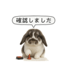 うさンプ:mochi（敬語）1（個別スタンプ：30）