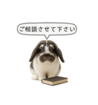 うさンプ:mochi（敬語）1（個別スタンプ：31）