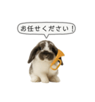 うさンプ:mochi（敬語）1（個別スタンプ：32）