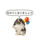 うさンプ:mochi（敬語）1（個別スタンプ：35）