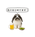 うさンプ:mochi（敬語）1（個別スタンプ：40）