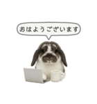 うさンプ:mochi（敬語）2（個別スタンプ：1）