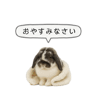うさンプ:mochi（敬語）2（個別スタンプ：3）
