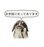 うさンプ:mochi（敬語）2（個別スタンプ：6）