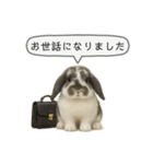 うさンプ:mochi（敬語）2（個別スタンプ：7）