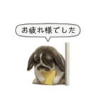 うさンプ:mochi（敬語）2（個別スタンプ：10）