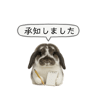 うさンプ:mochi（敬語）2（個別スタンプ：14）