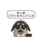 うさンプ:mochi（敬語）2（個別スタンプ：22）