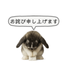 うさンプ:mochi（敬語）2（個別スタンプ：23）