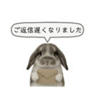 うさンプ:mochi（敬語）2（個別スタンプ：25）