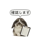 うさンプ:mochi（敬語）2（個別スタンプ：26）