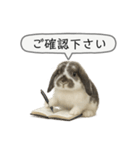 うさンプ:mochi（敬語）2（個別スタンプ：27）