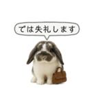 うさンプ:mochi（敬語）2（個別スタンプ：28）