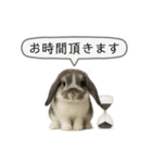 うさンプ:mochi（敬語）2（個別スタンプ：29）