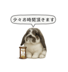 うさンプ:mochi（敬語）2（個別スタンプ：30）