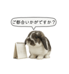 うさンプ:mochi（敬語）2（個別スタンプ：31）