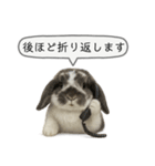 うさンプ:mochi（敬語）2（個別スタンプ：33）