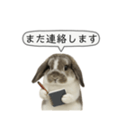 うさンプ:mochi（敬語）2（個別スタンプ：34）