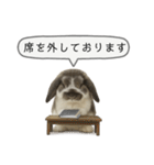 うさンプ:mochi（敬語）2（個別スタンプ：35）