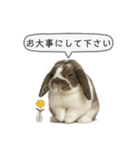 うさンプ:mochi（敬語）2（個別スタンプ：37）