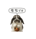 うさンプ:mochi（敬語）2（個別スタンプ：39）