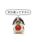 うさンプ:mochi（敬語）2（個別スタンプ：40）