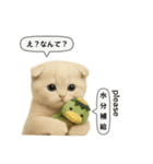 ネコしてます:フワフワ妖怪（個別スタンプ：3）