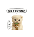 ネコしてます:フワフワ妖怪（個別スタンプ：6）