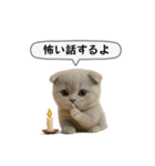 ネコしてます:フワフワ妖怪（個別スタンプ：19）