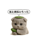 ネコしてます:フワフワ妖怪（個別スタンプ：23）