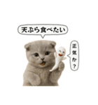 ネコしてます:フワフワ妖怪（個別スタンプ：30）