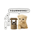 ネコしてます:フワフワ妖怪（個別スタンプ：38）