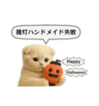 ネコしてます:フワフワ妖怪（個別スタンプ：40）