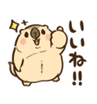 マーモットのモットー2（個別スタンプ：5）