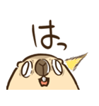 マーモットのモットー2（個別スタンプ：39）