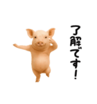 踊る！ブタ（個別スタンプ：1）