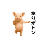 踊る！ブタ（個別スタンプ：2）