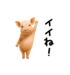 踊る！ブタ（個別スタンプ：3）